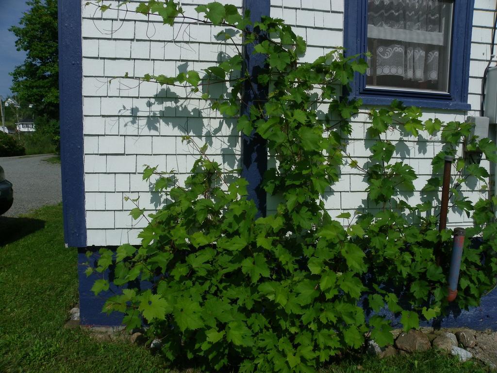 Port Hood Haus Treuburgヴィラ エクステリア 写真